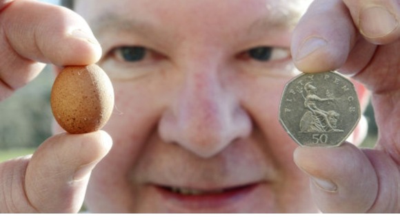 Paul Rae believes he's found the world's smallest hen egg