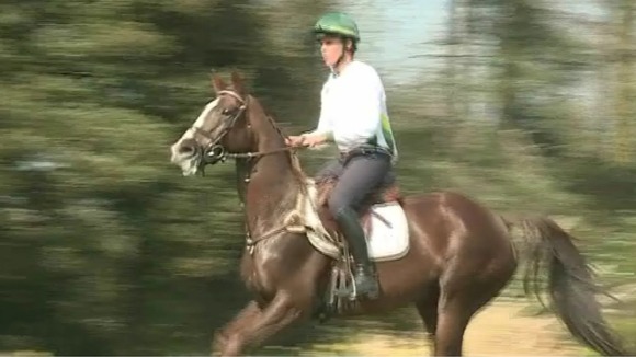at Waresley Park Stud, at Waresley Park Stud,