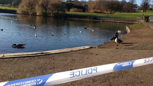 Scene at Sandwell Park