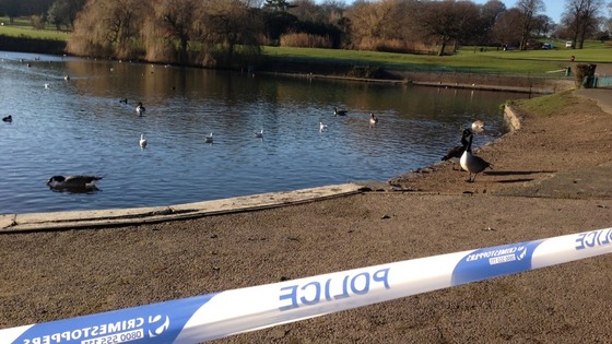 Scene at Sandwell Park