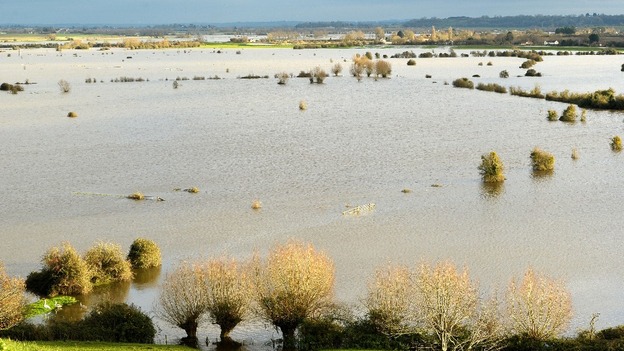 Floodwater in Somerset yesterday.