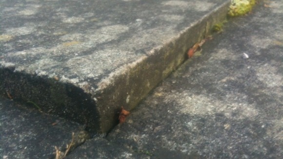 Raised pavements