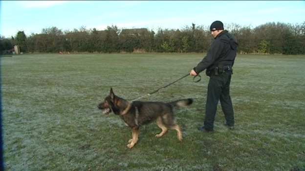 The dogs have been showing the children what they do as part of Durham's police force