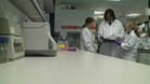 Cambridge University laboratory