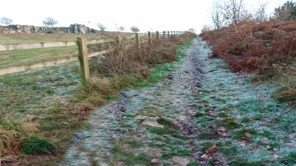 Frosty path