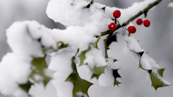 Snow Christmas