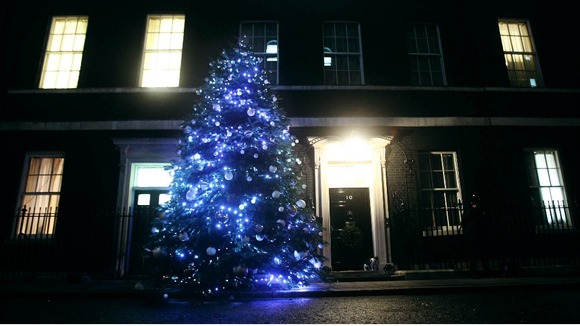 The Downing Street Christmas tree
