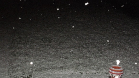 Snow