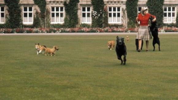 The Queen with her dogs in front of Balmoral Castle