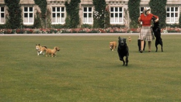 The Queen with her dogs in front of Balmoral Castle