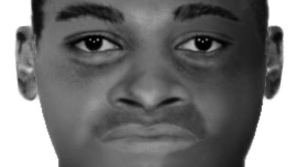 e-fit image