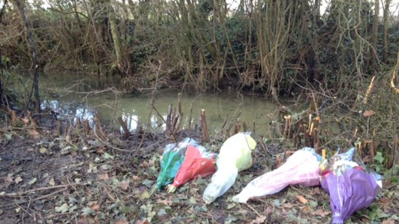 Floral tributes left at the site of a plane crash in Aldham, Suffolk
