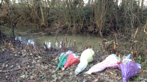 Floral tributes left at the site of a plane crash in Aldham, Suffolk