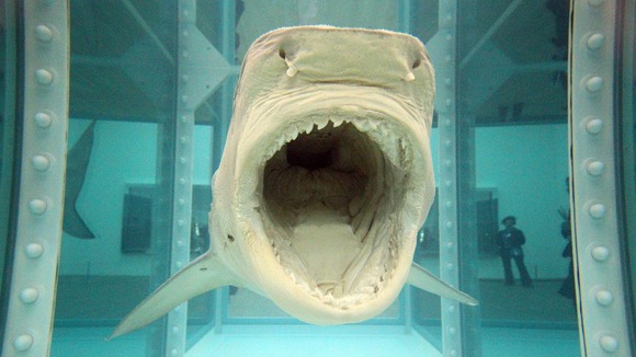 Damian Hirst's 1991 work 'The Physical Impossibility of Death in the Mind of Someone Living'