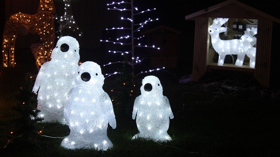 Reindeer and birds are involved this year 