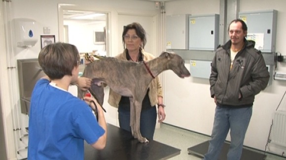 Noah and his owners visiting the vet at the Dogs Trust in Shrewsbury today