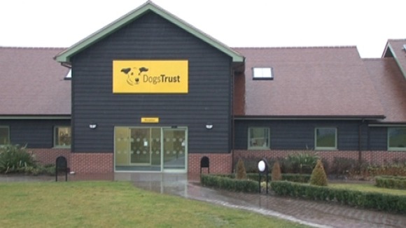 The Dogs Trust Centre in Shrewsbury