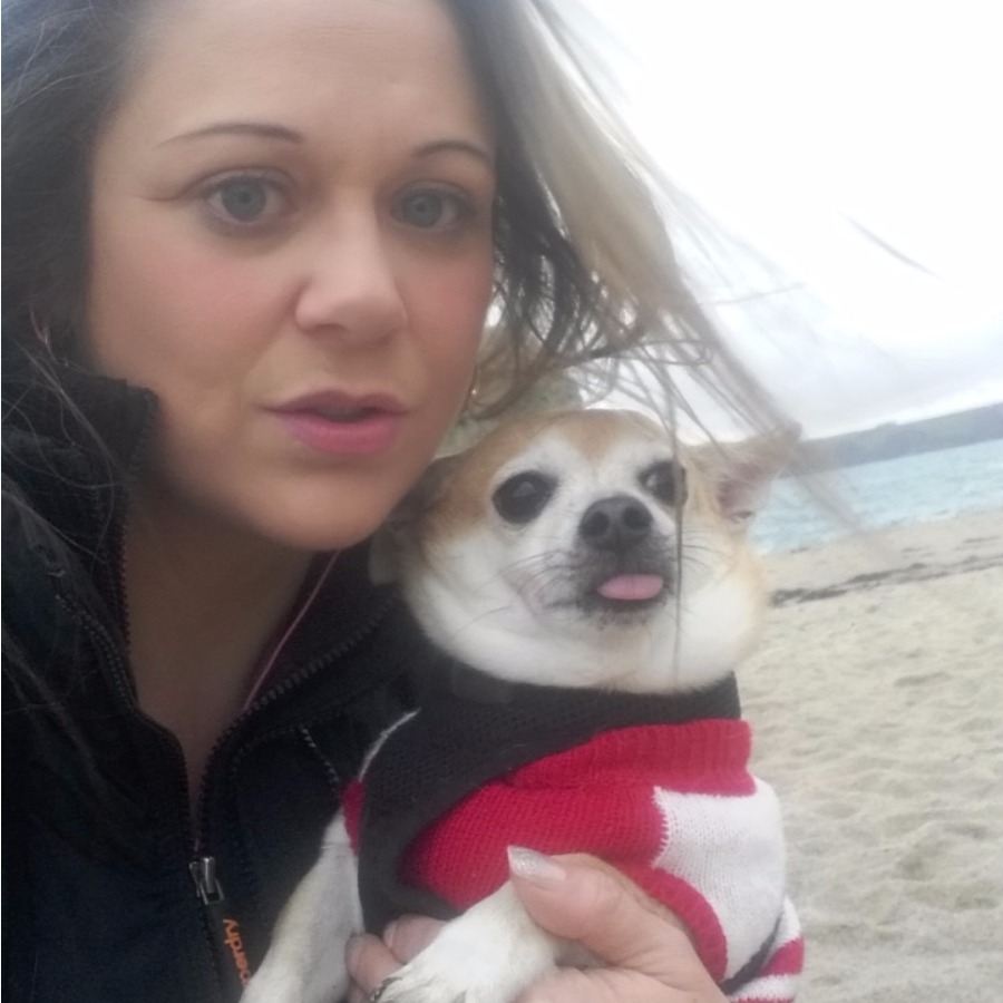 Pet chihuahua killed by dog West Country ITV News