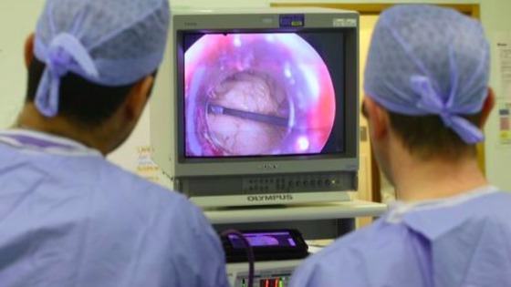 doctor's looking at scan