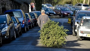Christmas tree recycling Bedford Anglia ITV News