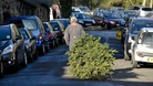 A man takes his tree for recycling