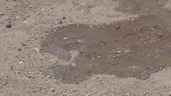 Much of the water in Somaliland has been contaminated by rotting animal carcasses or human waste.