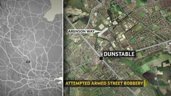  Arenson Way, Dunstable