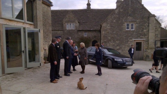 Camilla, Duchess of Cornwall 