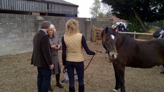 Camilla, Duchess of Cornwall 