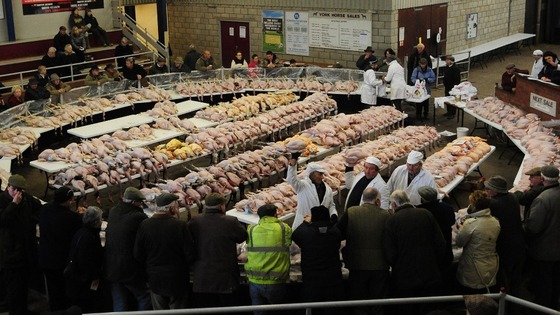 York Auction Centre