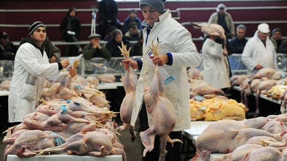 Christmas Poultry Sale