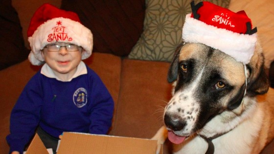 Owen and Haatchi