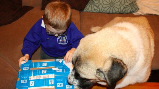 Owen and Haatchi