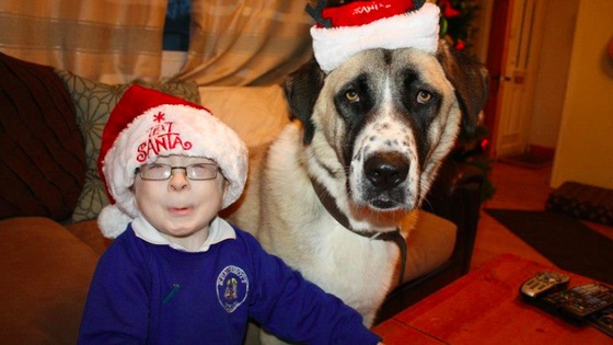 Owen and Haatchi