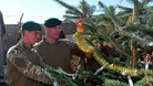 Marines decorate Christmas tree