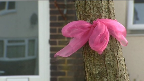 Pink ribbon on tree, Machynlleth