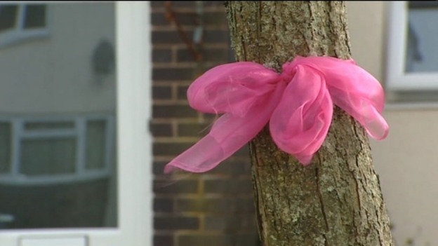 Pink ribbon on tree, Machynlleth