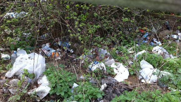 Rubbish by the A14