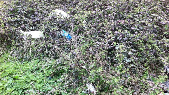 Another example of litter by the roadside