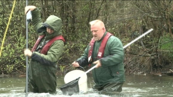 Workers in river