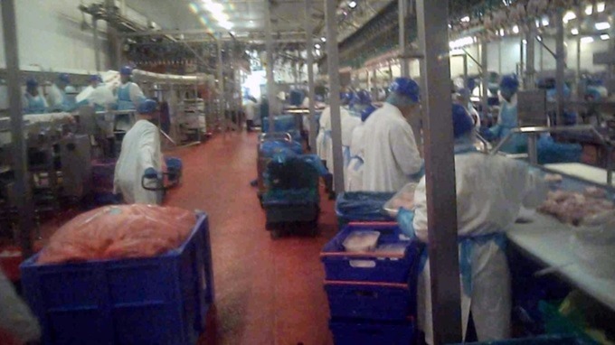 Our undercover reporter got a job at the 2 Sisters factory in the West Midlands.