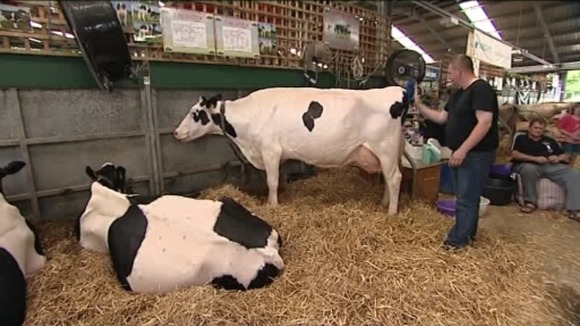 The Royal Welsh Show