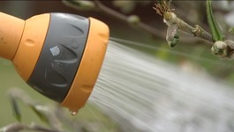 Many in our region face a hosepipe ban.