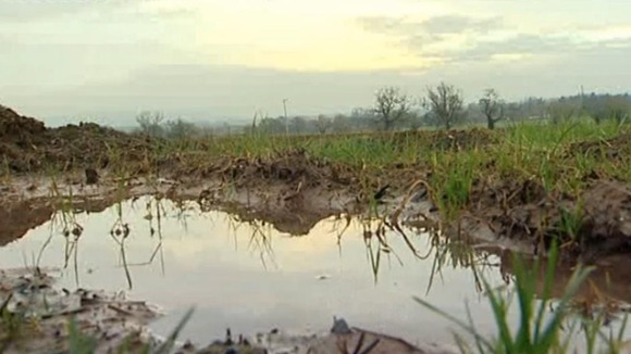 Flooded field