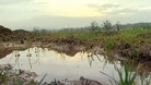 Flooded field