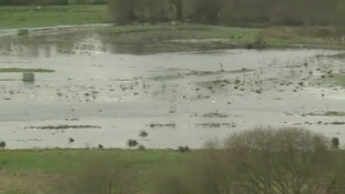 Flooded field