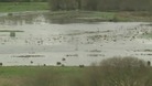 Flooded field