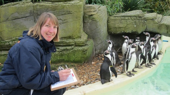 Stock take at Drusilla's Zoo Park