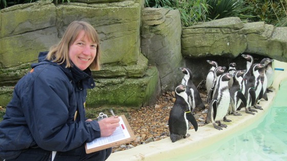 Stock take at Drusilla's Zoo Park