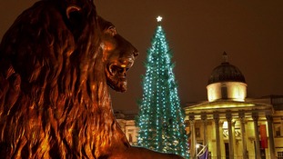 Christmas Tree having its lights switched on in Trafalgar Square, London.